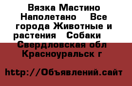Вязка Мастино Наполетано  - Все города Животные и растения » Собаки   . Свердловская обл.,Красноуральск г.